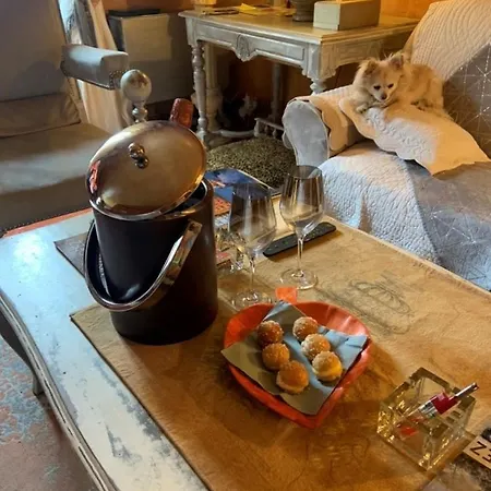 De Luxe Au Coeur De Lejlighed